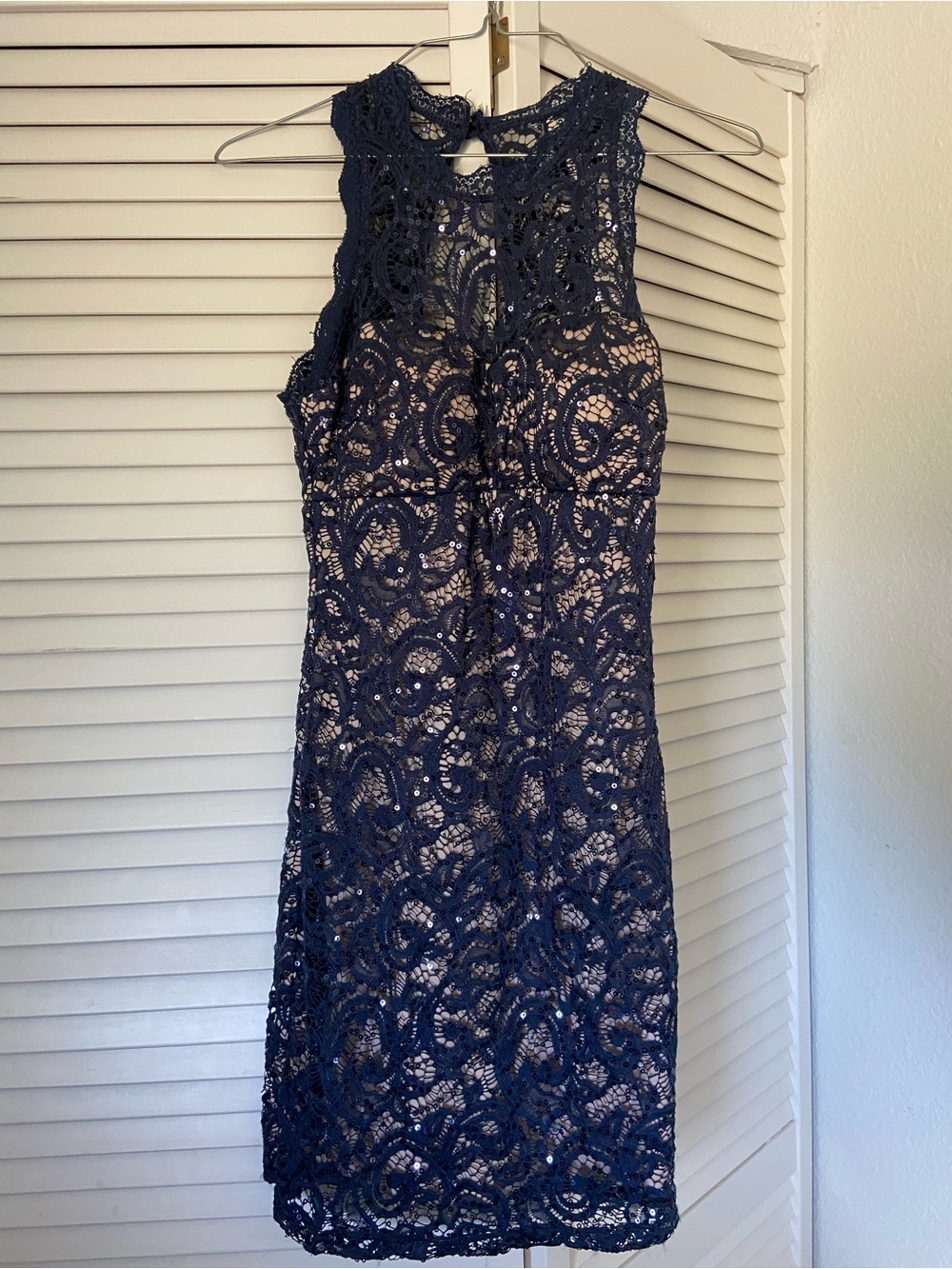 Sequin Hearts Navy Lace Overlay Mini Dress